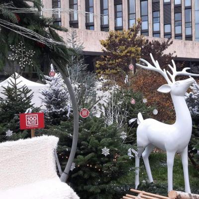 Marché de Noël de Dijon 2022